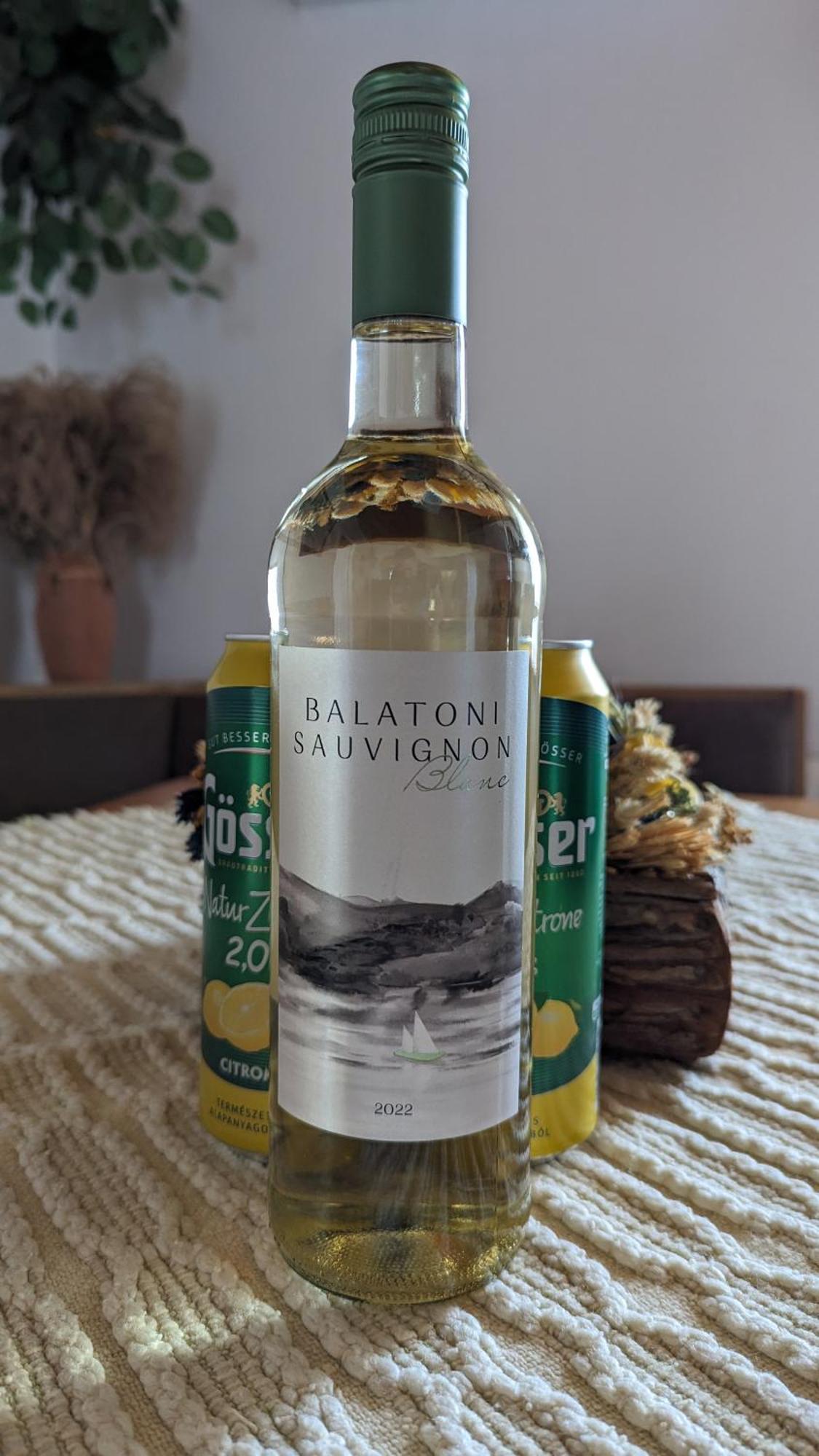 Viragos Apartman Balatonszárszó Extérieur photo